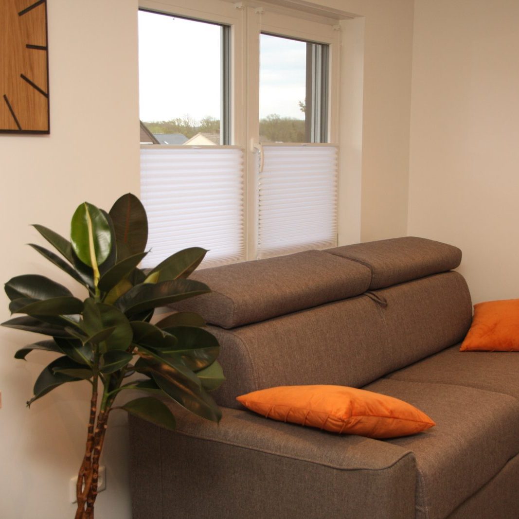 Schlafcouch im Wohnzimmer aus der Perspektive der Abbildung